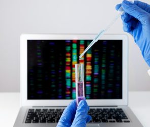 Celldex